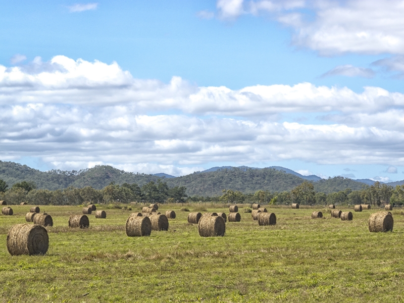 A growing rural population is a problem for aged care.