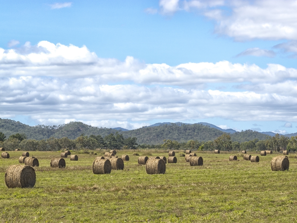 Rural aged care faces a number of challenges.